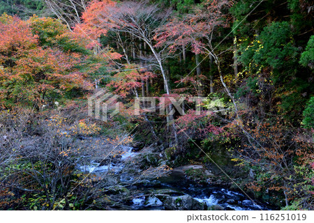 I went to the Nagura River Valley #61 I went to the Nagura River Valley #61 116251019
