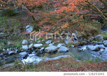 我去了名倉川谷#68 116251041