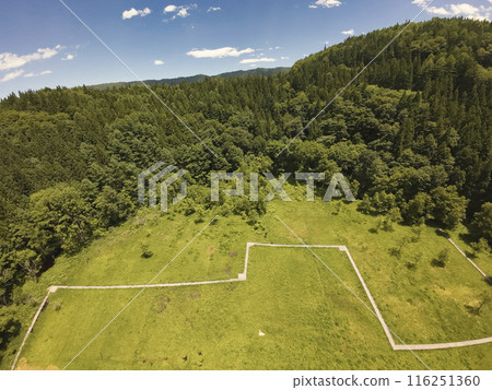 Oyomi Marsh in Summer, Hakuba Village, Nagano Prefecture (aerial photography by drone) 116251360