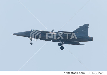 匈牙利空軍JAS-39C「鷹獅」戰鬥機在飛行中 匈牙利空軍JAS-39C「鷹獅」戰鬥機在飛行中 116251576