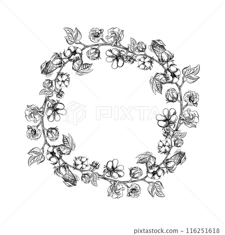 The cotton is organic. The frame is round, with cotton twigs. Black and white, detailed, graphic, vector illustration, hand-drawn, on a white background. For labels, packaging, postcards and posters. The cotton is organic. The frame is round, with cotton twigs. Black and white, detailed, graphic, vector illustration, hand-drawn, on a white background. For labels, packaging, postcards and posters. 116251618