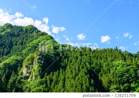 青山綠水、藍天白雲/群馬縣 青山綠水、藍天白雲/群馬縣 116251709