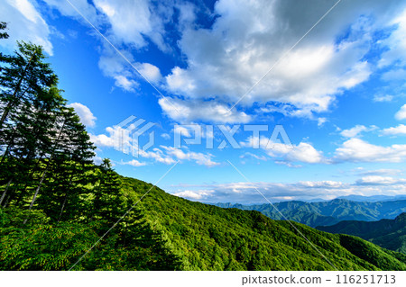 從三香穗超級森林公路展望台看到的風景/群馬縣 從三香穗超級森林公路展望台看到的風景/群馬縣 116251713