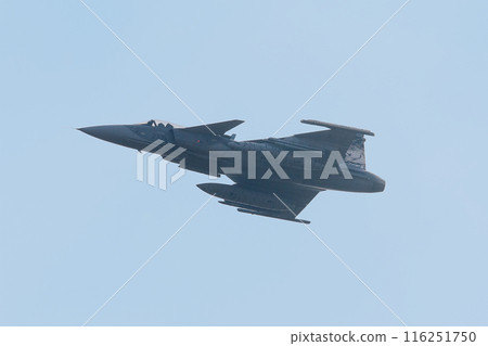 Czech Air Force JAS-39C Gripen fighter jet with tiger print Czech Air Force JAS-39C Gripen fighter jet with tiger print 116251750