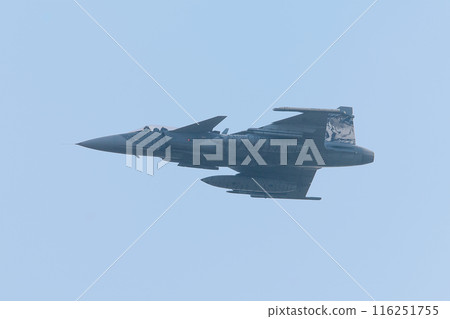 Czech Air Force JAS-39C Gripen fighter jet with tiger print Czech Air Force JAS-39C Gripen fighter jet with tiger print 116251755