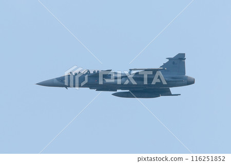 Czech Air Force JAS-39D Gripen fighter jet in flight 116251852