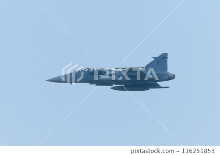 捷克空軍 JAS-39D 鷹獅戰鬥機在飛行中 捷克空軍 JAS-39D 鷹獅戰鬥機在飛行中 116251853