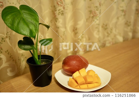 美麗的切芒果和可愛的龜背竹放在桌上 美麗的切芒果和可愛的龜背竹放在桌上 116251866