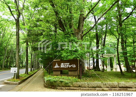 Hotel Epinard, a lodging facility in Nasu Highlands, Nasu Town, Tochigi Prefecture. Chapel sign and fresh green walking path in Nasu Forest. Hotel Epinard, a lodging facility in Nasu Highlands, Nasu Town, Tochigi Prefecture. Chapel sign and fresh green walking path in Nasu Forest. 116251967