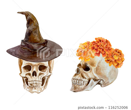 Human skull, profile and front, hat and wreath, watercolor. Vector illustration. Day of the Dead and Halloween cards, invitations, banners, posters. 116252006