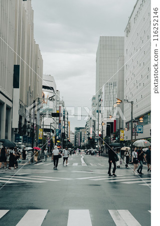 新宿城市景觀道路交叉口 116252146