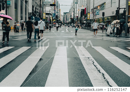 新宿城市景觀道路交叉口 116252147