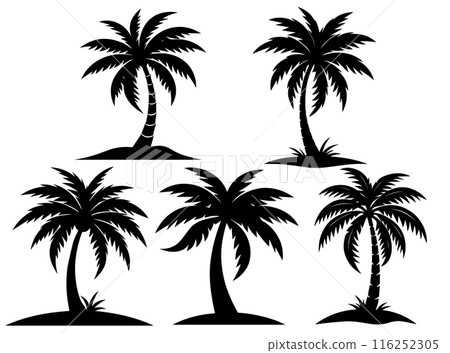 Palm tree silhouettes isolated on white background, vector illustration. 116252305