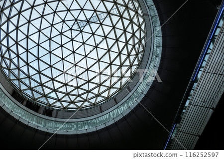 Detail of skylight structure roof, with tree branches view above. At Noksapyeong Station in Seoul Detail of skylight structure roof, with tree branches view above. At Noksapyeong Station in Seoul 116252597