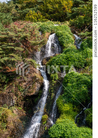 Close-up of waterfall with autumn foliage Close-up of waterfall with autumn foliage 116252599