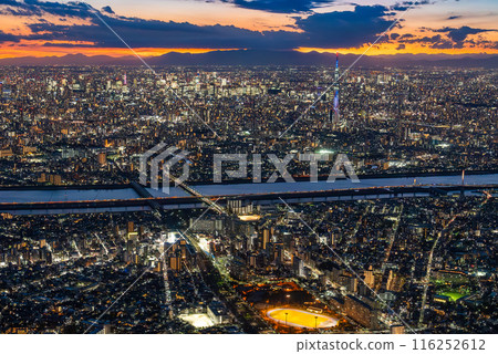 從天空看東京黃昏時間，天空樹可見 116252612