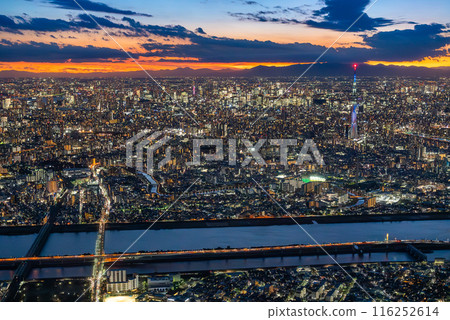 Twilight time in Tokyo seen from the sky with the Skytree in view 116252614