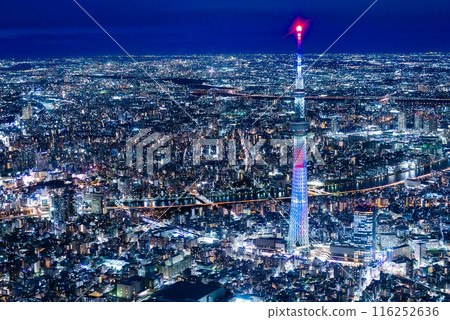 Exclusive helicopter tour of Tokyo's night view with Skytree in view Exclusive helicopter tour of Tokyo's night view with Skytree in view 116252636