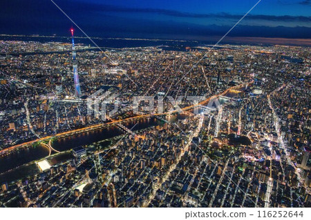 Exclusive helicopter tour of Tokyo's night view with Skytree in view 116252644