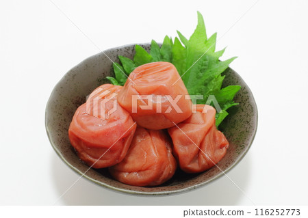 梅干(紀州南光梅) 梅干(紀州南光梅) 116252773