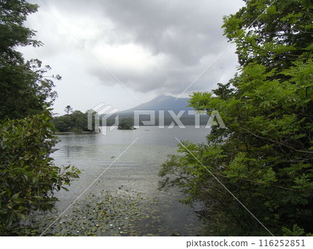 Onuma Quasi-National Park 116252851