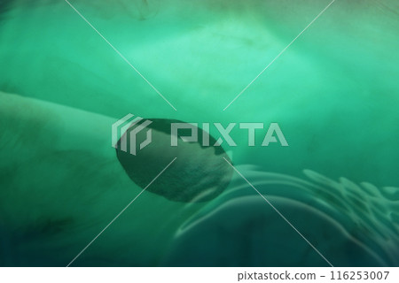Background material Abstract material Abstract background Background material Abstract material Abstract background 116253007