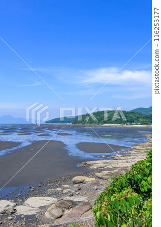 蔚藍天空映襯下的有明海和灘塗的風景 從宇土濱海草坪公園「宇土濱海好色館」可以看到的風景。 116253177