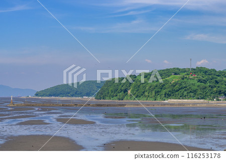 The Ariake Sea and tidal flats under a clear blue sky. A view from Uto Marina Lawn Park, "Uto Marina Okoshikikan" 116253178