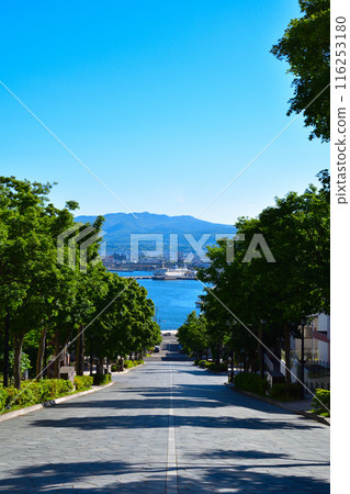 函館八幡坂 116253180