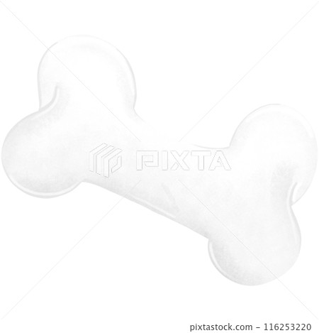 dinosaur, egg, bone 116253220