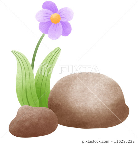 dinosaur, egg, volcano 116253222