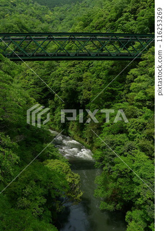 日本鐵路（箱根登山鐵道） 日本的鐵路運輸 116253269