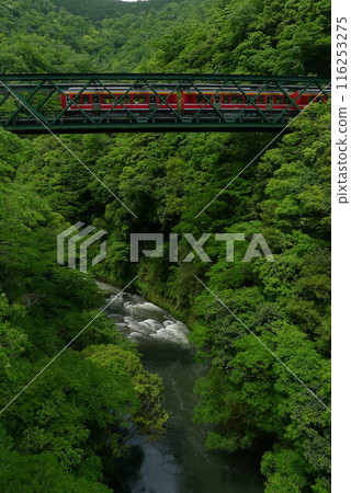 日本鐵路(箱根登山鐵道) 日本的鐵路運輸 日本鐵路(箱根登山鐵道) 日本的鐵路運輸 116253275