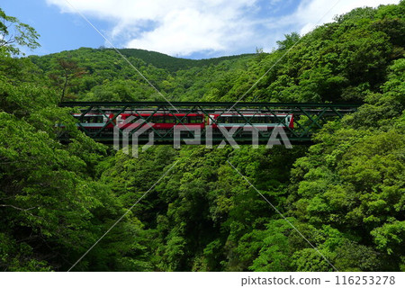 Japanese Railway (Hakone Tozan Railway) Rail transport in Japan 116253278