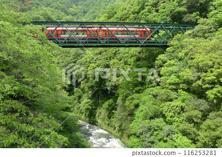 日本鐵路（箱根登山鐵道） 日本的鐵路運輸 116253281