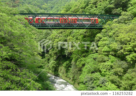 Japanese Railway (Hakone Tozan Railway) Rail transport in Japan 116253282