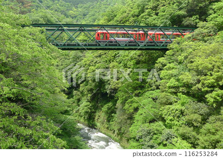 Japanese Railway (Hakone Tozan Railway) Rail transport in Japan Japanese Railway (Hakone Tozan Railway) Rail transport in Japan 116253284