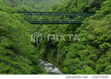 日本鐵路（箱根登山鐵道） 日本的鐵路運輸 116253285