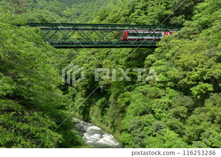 Japanese Railway (Hakone Tozan Railway) Rail transport in Japan Japanese Railway (Hakone Tozan Railway) Rail transport in Japan 116253286