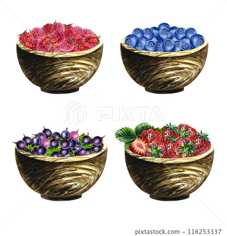 Set with berries in wooden cups, strawberries, raspberries, blueberries, currants. Hand-drawn watercolor illustrations. Isolates. For packages, labels and flyers. For banners, stickers and postcards. Set with berries in wooden cups, strawberries, raspberries, blueberries, currants. Hand-drawn watercolor illustrations. Isolates. For packages, labels and flyers. For banners, stickers and postcards. 116253337