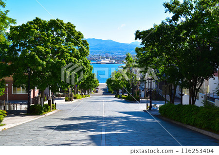 函館八幡坂 116253404