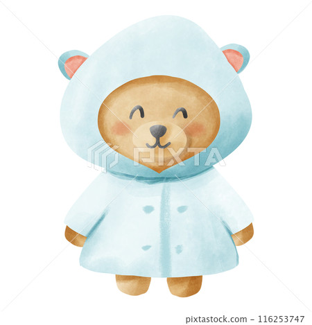 Cute teddy bear with blue raincoat. 116253747
