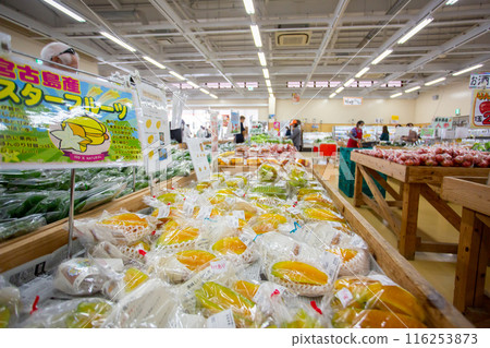 沖繩縣宮古島的路邊車站 宮古島的楊桃 沖繩縣宮古島的路邊車站 宮古島的楊桃 116253873