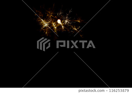 Sparkler  116253879