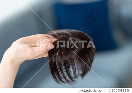 戴假髮的婦女手頭的頭髮護理 116254219