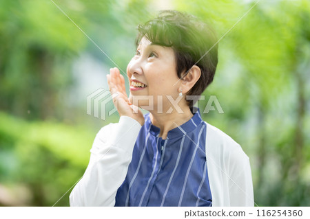 Senior women beauty image fresh greenery 116254360