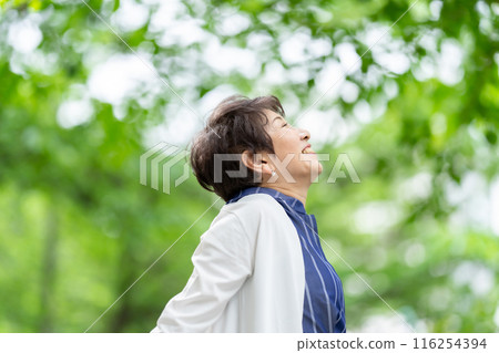 Senior woman, fresh green, stretching, stretching Senior woman, fresh green, stretching, stretching 116254394
