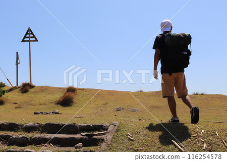 Traveler's back view 116254578