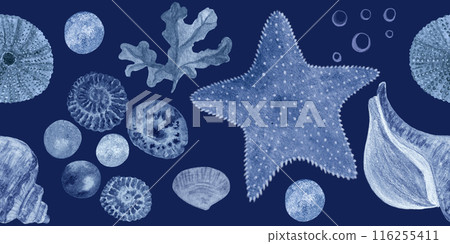 Starfish, seaweed, bubbles, pearls, shell blue monochromatic watercolor seamless border on dark blue background. Hand-drawn illustration for cards, restaurant menu, textile, tourism, tape, room decor 116255411