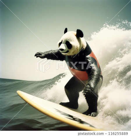 Surfing Panda 116255889